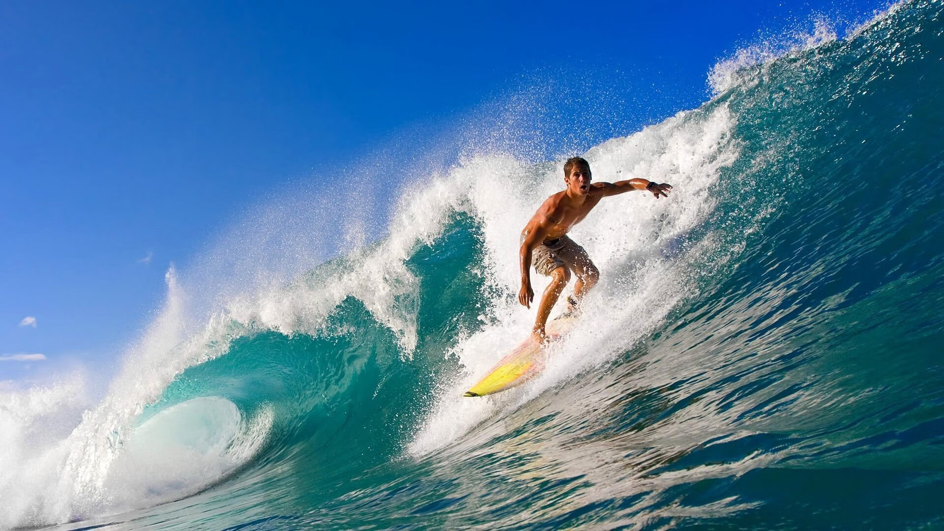 开云体育官方网站-塔图姆爆发，辽宁队强势晋级雄鹿，跨界竞技的想象与启示