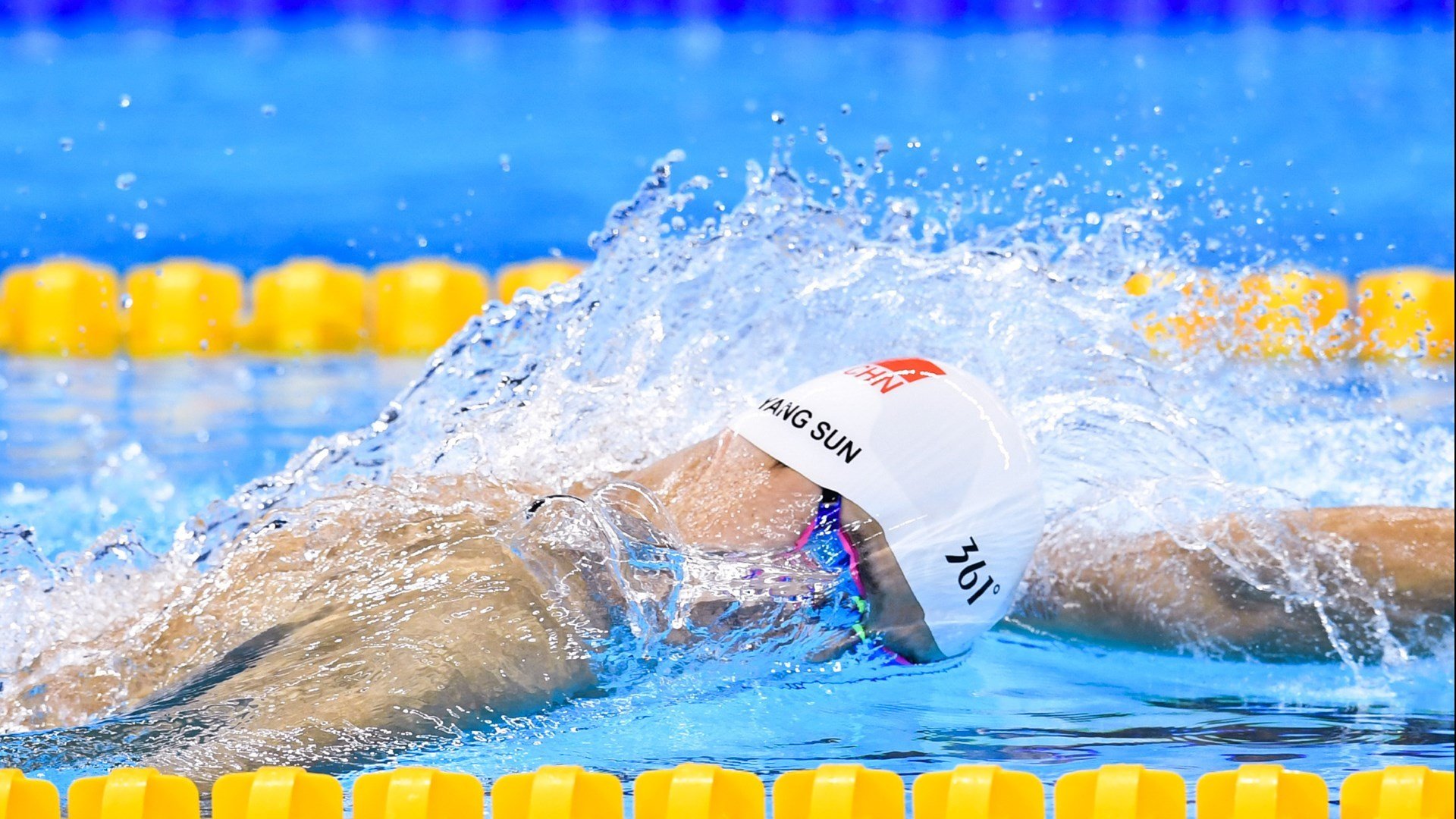 红土与草地的交响，阿尔卡拉斯蒙特卡洛鏖战后，温网征途再燃烈焰